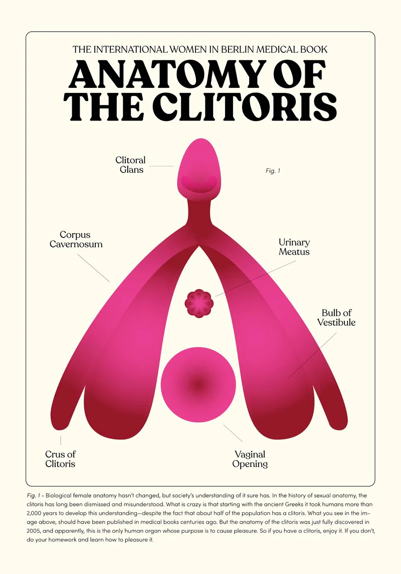 Anatomy of the clitoris education diagram of where is the clit? Helpful guide by Consensuality